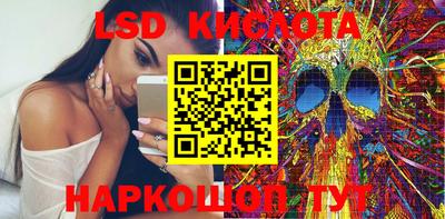 индика Чебоксары