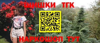 индика Чебоксары